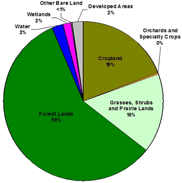 Pie chart of Newaygo County land use